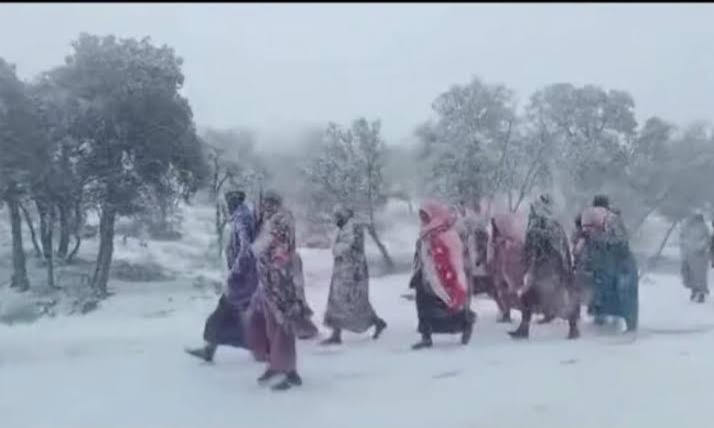 مسيرة احتجاجية بـ" بوتفردة" تطالب بتوفير طبيب وتسهيل المساطر الإدارية 