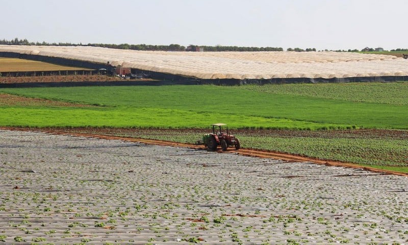 هل انتهت السنوات العجاف في المغرب؟ 