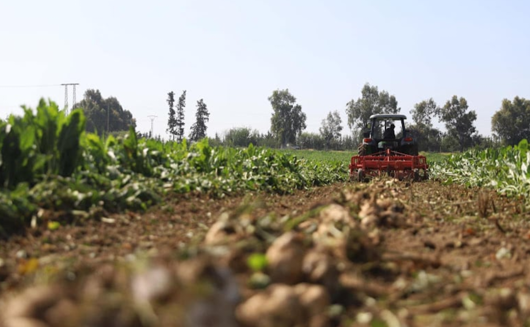 "غيث اللوكوس" يتحول إلى كابوس.. السيول تحاصر المحاصيل وتُنذر بخسائر فلاحية 