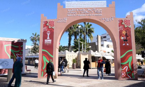 أكادير تحتفي بالأركان.. الشجرة الأيقونية بالمغرب 