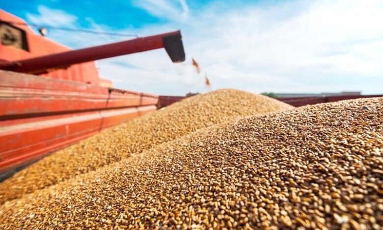 رفع المغرب وارداته من القمح الروسي بـ2.7 مرة، حسب ما أفادت به إلينا تيورينا، مديرة إدارة التحليل بالاتحاد الروسي للحبوب، في تصريحات لوكالة إنترفاكس 