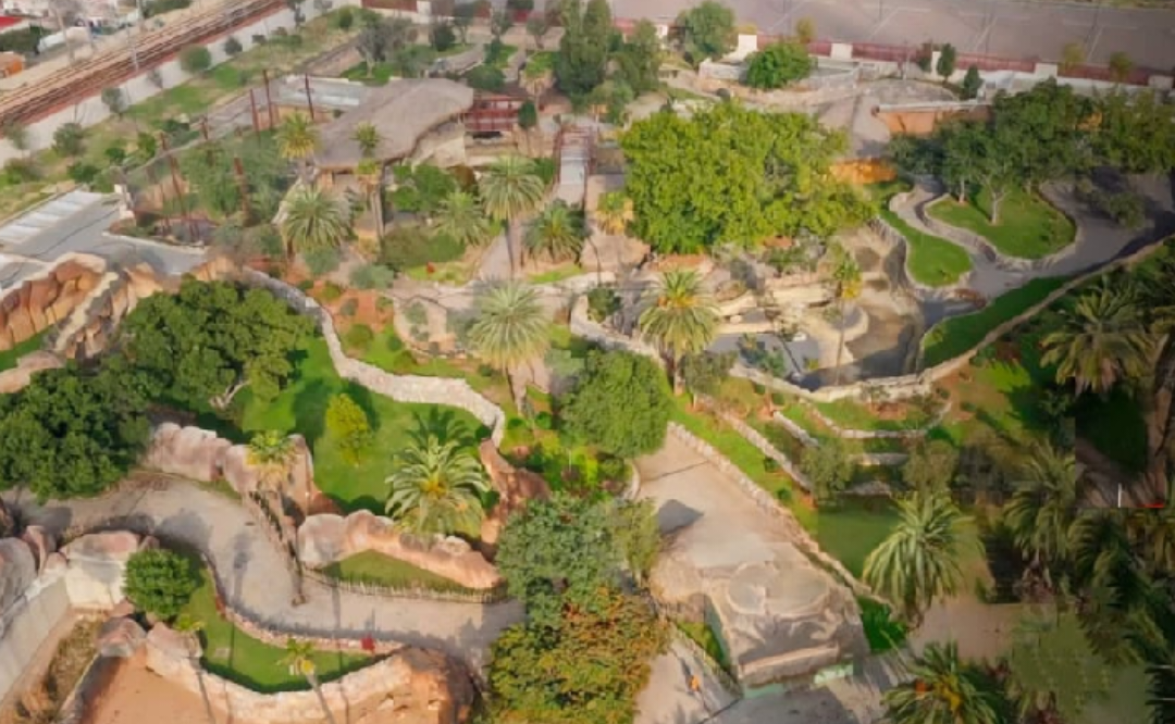 إعادة افتتاح حديقة الحيوانات بعين السبع تعيد متنفسًا ترفيهيًا لسكان الدار البيضاء 