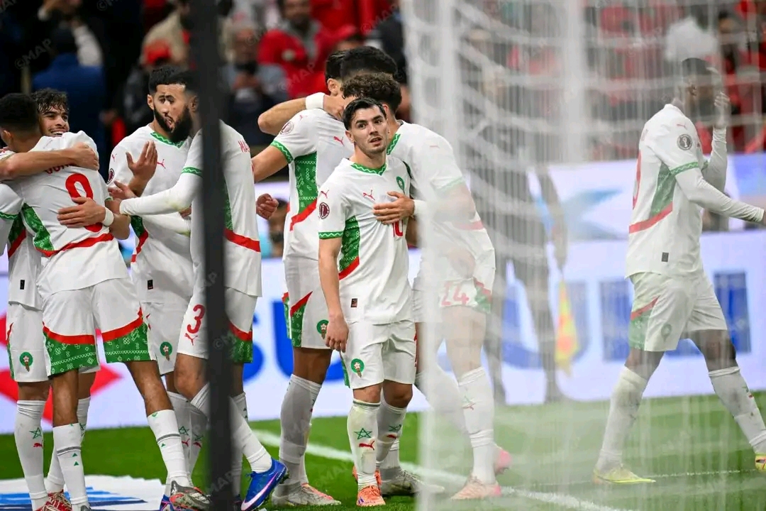 أونسا تطمئن: الوضع الصحي للقطيع مستقر وحملات تلقيح واسعة بالجهة 