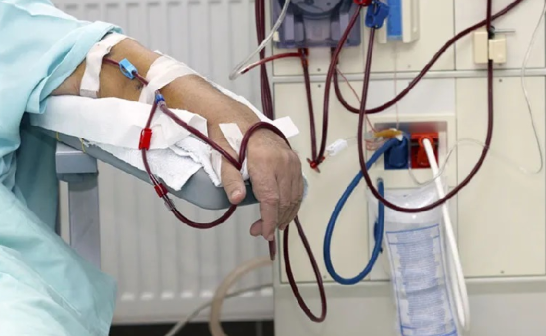 ������� �������� ������� ����� ����� REINS �������� �������� ����� ��������� ������� ������ ����� ������� �����