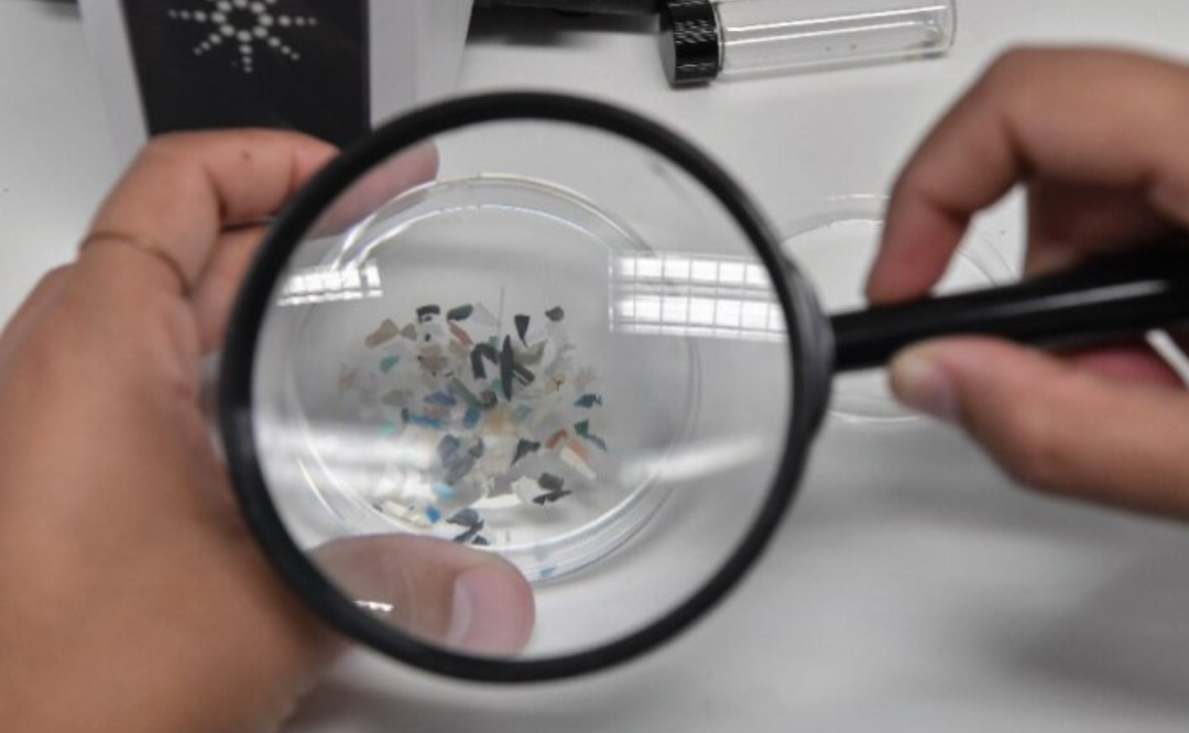 جزيئات البلاستيك تصل إلى الدم وقد تمتد إلى الجهاز التناسلي 