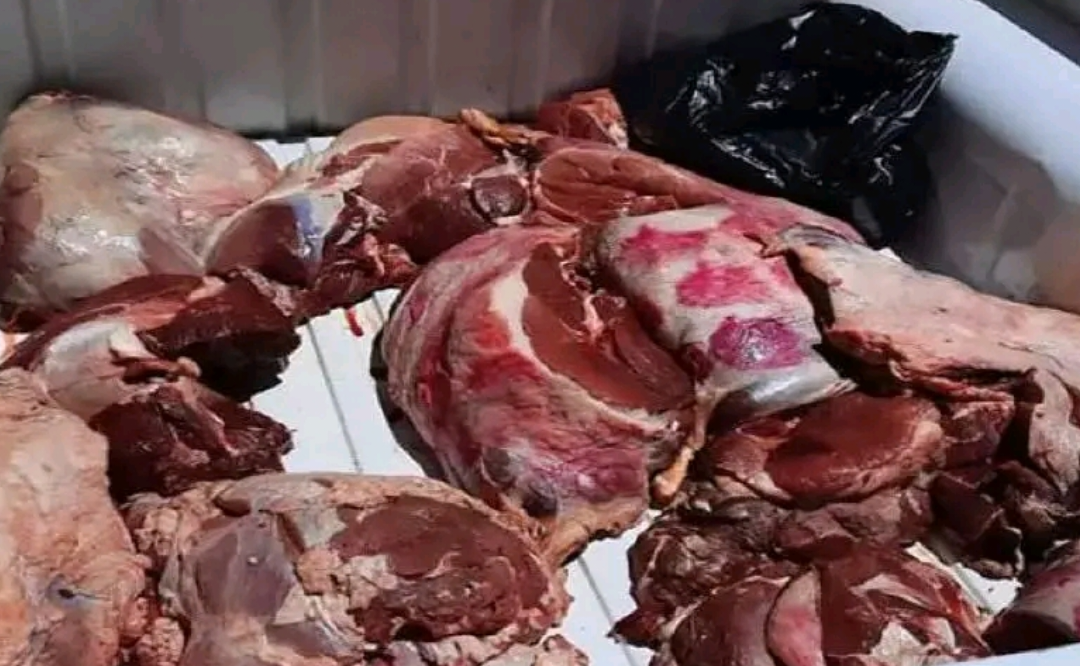 الدرك الملكي باسفي يحجز 50 كيلوغرامًا من اللحوم الفاسدة قبل وصولها إلى سوق حد حرارة 